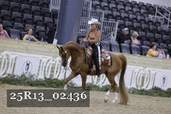 25R13_02436 thumbnail