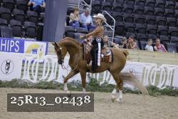 25R13_02438 thumbnail