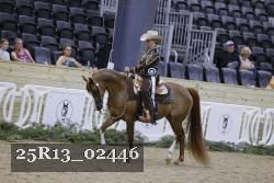 25R13_02446 thumbnail