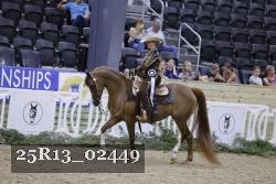25R13_02449 thumbnail
