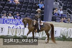 25R13_02450 thumbnail
