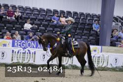 25R13_02484 thumbnail