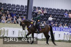 25R13_02486 thumbnail