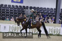 25R13_02488 thumbnail
