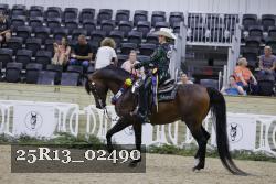 25R13_02490 thumbnail