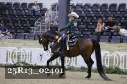 25R13_02491 thumbnail