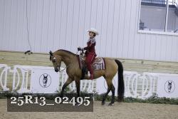 25R13_02495 thumbnail
