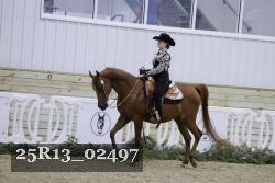 25R13_02497 thumbnail