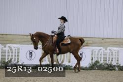 25R13_02500 thumbnail