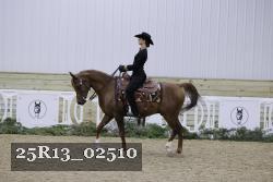 25R13_02510 thumbnail