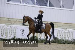 25R13_02511 thumbnail