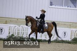 25R13_02513 thumbnail