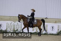 25R13_02515 thumbnail