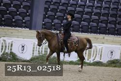 25R13_02518 thumbnail