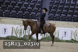 25R13_02519 thumbnail
