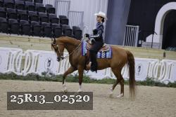 25R13_02520 thumbnail