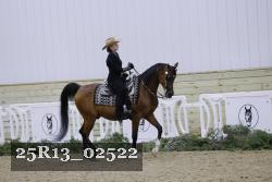 25R13_02522 thumbnail