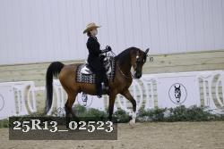25R13_02523 thumbnail