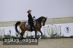 25R13_02524 thumbnail