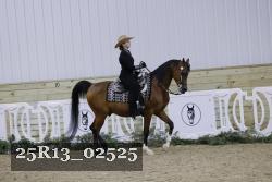25R13_02525 thumbnail