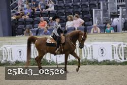 25R13_02526 thumbnail