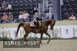 25R13_02527 thumbnail
