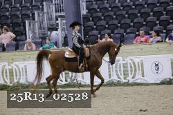25R13_02528 thumbnail