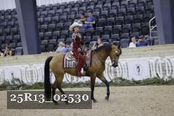 25R13_02530 thumbnail