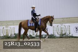 25R13_02533 thumbnail