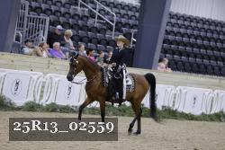 25R13_02559 thumbnail