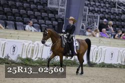25R13_02560 thumbnail