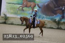 25R13_02569 thumbnail
