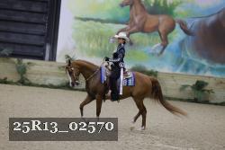 25R13_02570 thumbnail