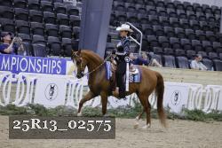 25R13_02575 thumbnail
