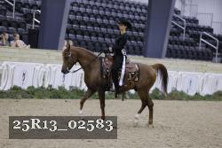 25R13_02583 thumbnail