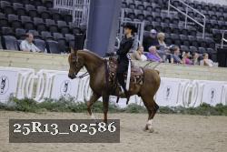 25R13_02586 thumbnail