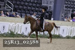 25R13_02588 thumbnail