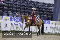 25R13_02600 thumbnail