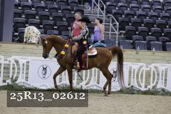 25R13_02612 thumbnail