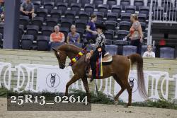 25R13_02614 thumbnail