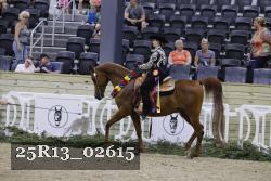 25R13_02615 thumbnail