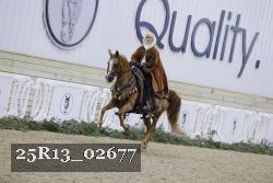 25R13_02677 thumbnail