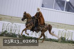 25R13_02681 thumbnail