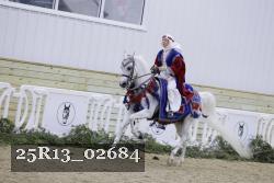 25R13_02684 thumbnail