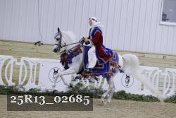 25R13_02685 thumbnail