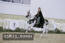 25R13_02691 thumbnail
