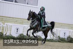 25R13_02695 thumbnail