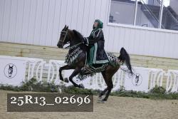 25R13_02696 thumbnail