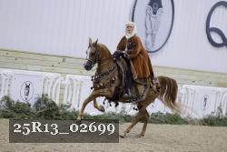 25R13_02699 thumbnail
