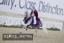 25R13_02701 thumbnail
